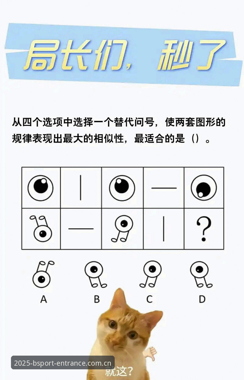 B体育App安卓实用下载指南：2025新版功能与操作全解析
